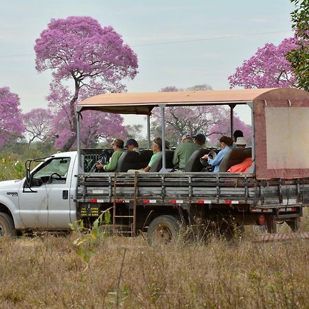 Southwild Pantanal Lodge Pixaim Екстериор снимка