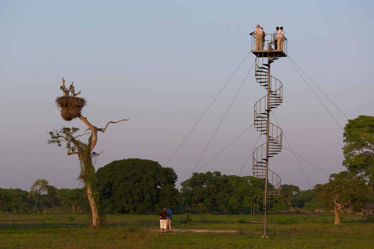 Southwild Pantanal Lodge Pixaim Екстериор снимка