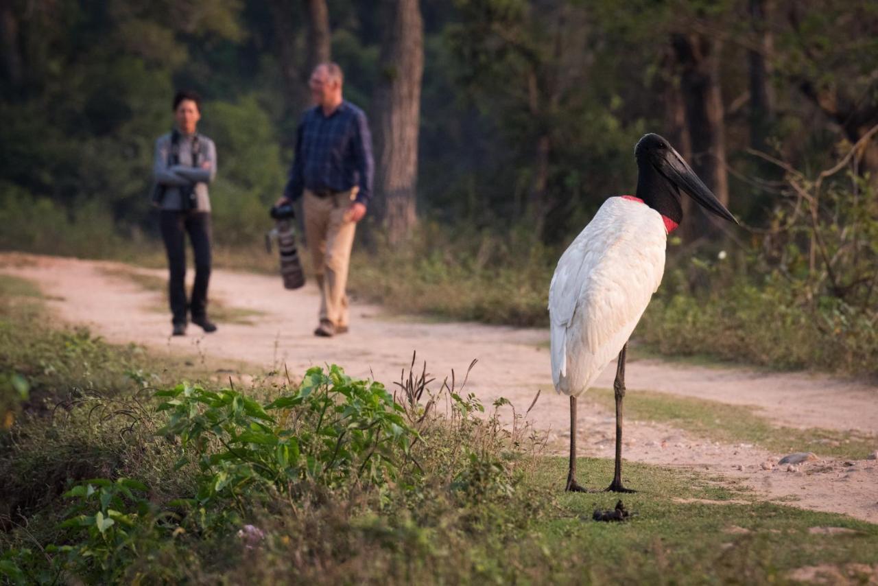 Southwild Pantanal Lodge Pixaim Екстериор снимка
