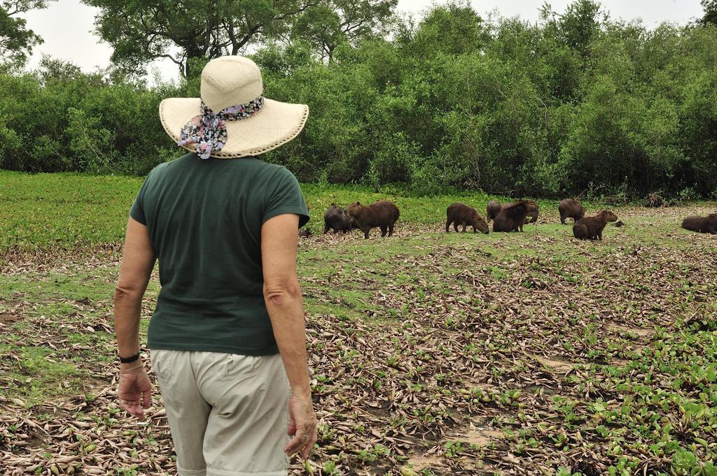 Southwild Pantanal Lodge Pixaim Екстериор снимка