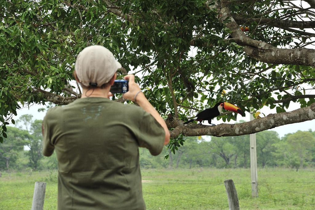 Southwild Pantanal Lodge Pixaim Екстериор снимка