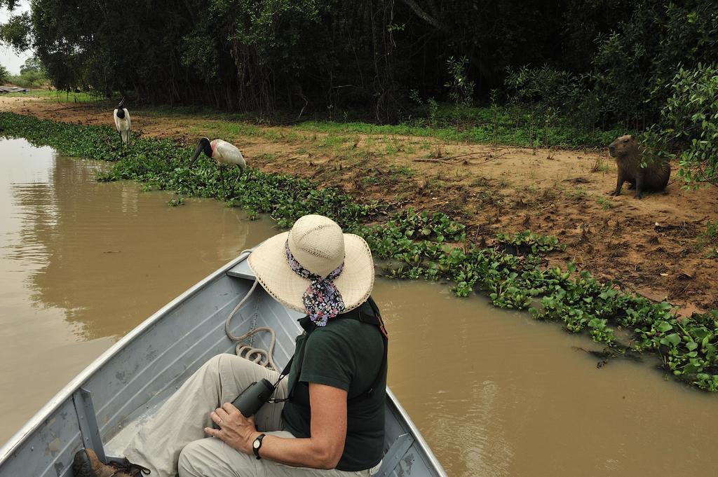 Southwild Pantanal Lodge Pixaim Екстериор снимка