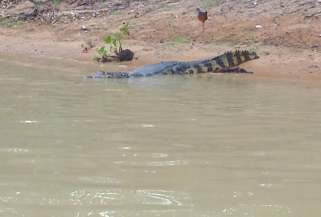 Southwild Pantanal Lodge Pixaim Екстериор снимка