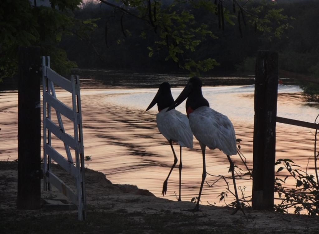 Southwild Pantanal Lodge Pixaim Екстериор снимка