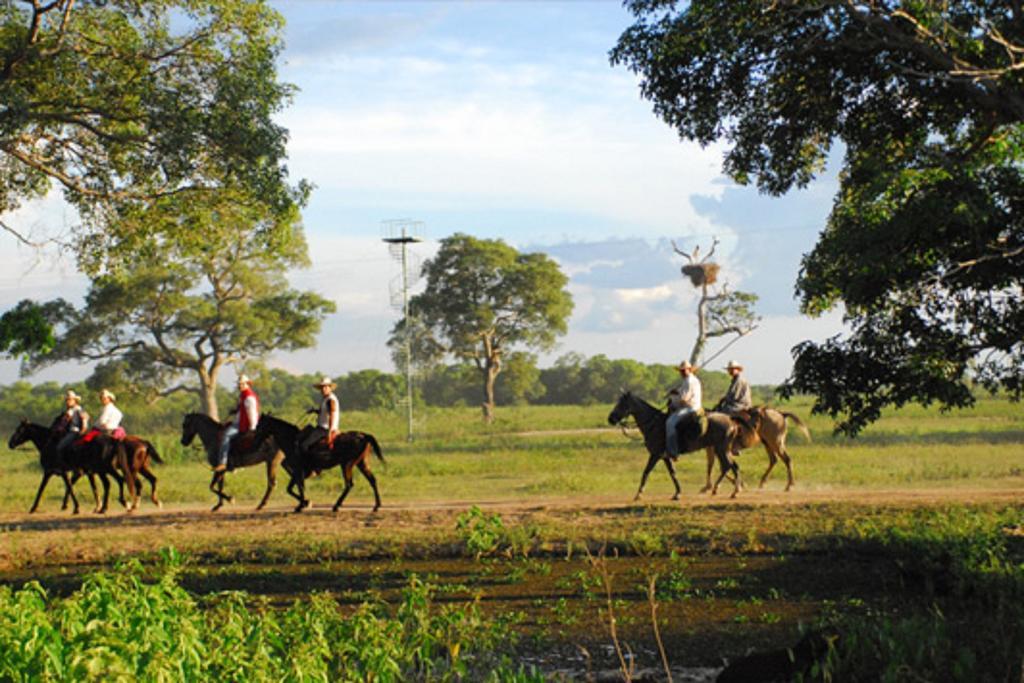 Southwild Pantanal Lodge Pixaim Екстериор снимка