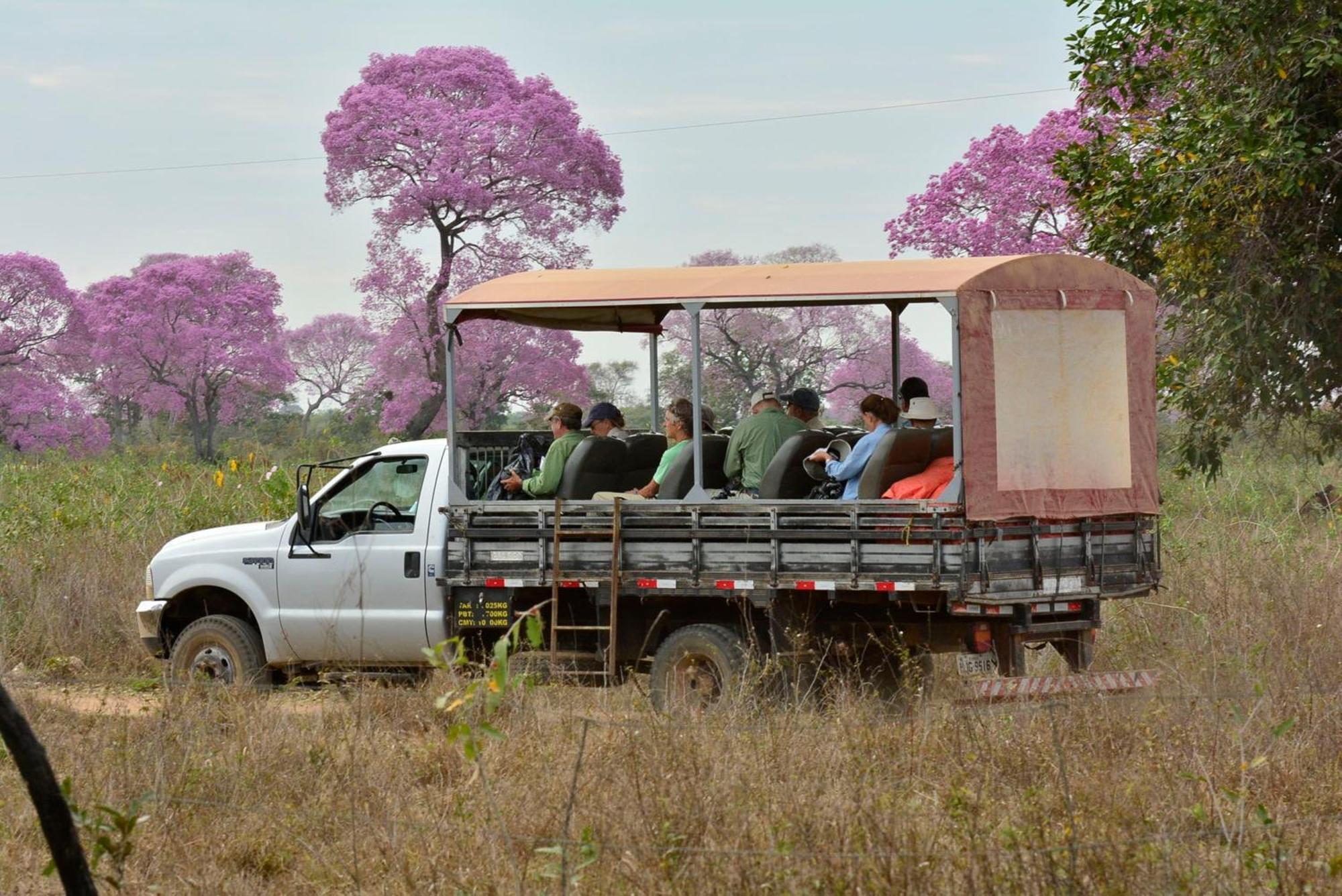 Southwild Pantanal Lodge Pixaim Екстериор снимка