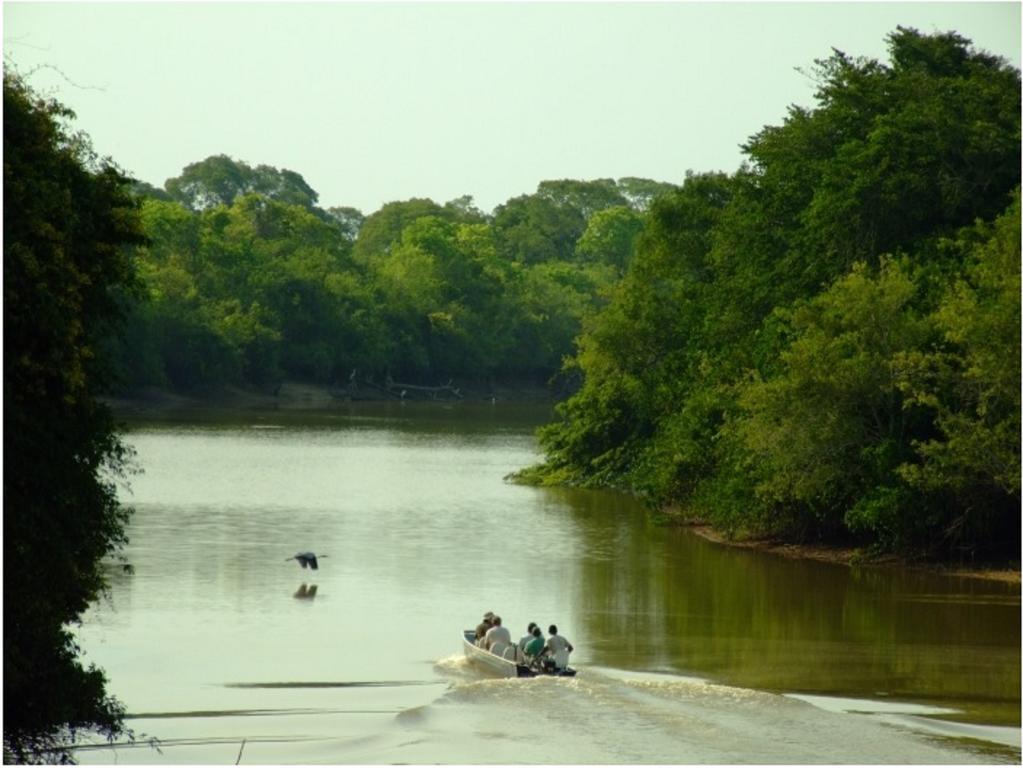 Southwild Pantanal Lodge Pixaim Екстериор снимка